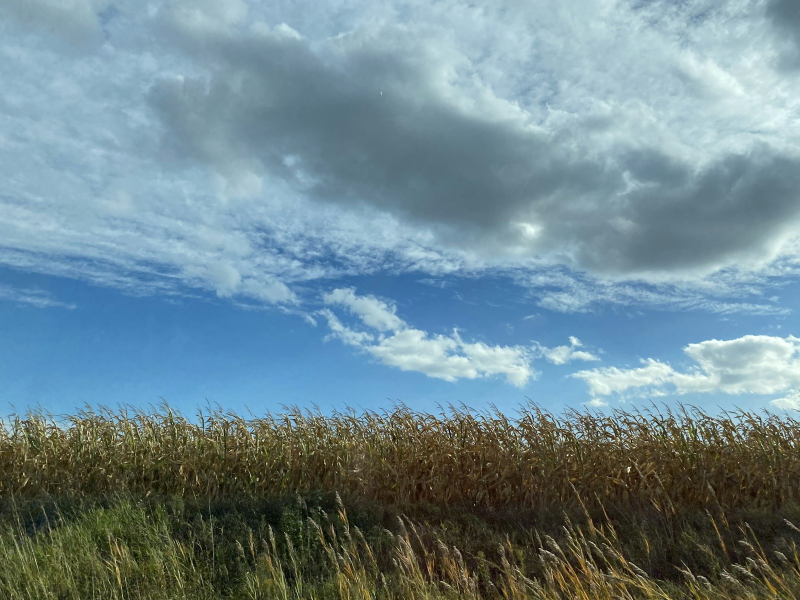 Open farmland in Ontario